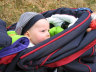 Neugierige Blicke aus dem Kinderwagen heraus...