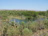 Ord River