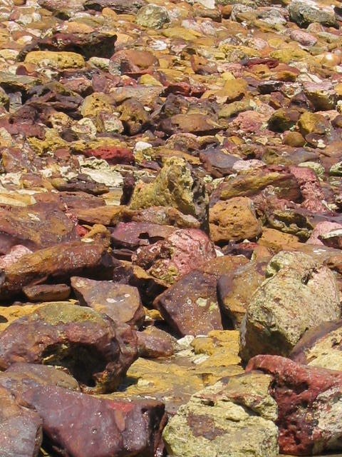 Steine am Strand bei Ebbe