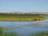 Stausee - mit Booten und Pelikan!