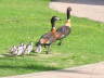 Unsere Vorbildfamilie...