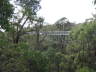 Treetop-Walk
